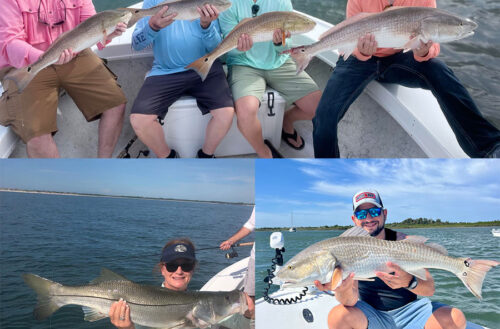 Fall Daytona Fishing Report: Trophy Redfish, Monster Snook, and Giant Tarpon are Biting!